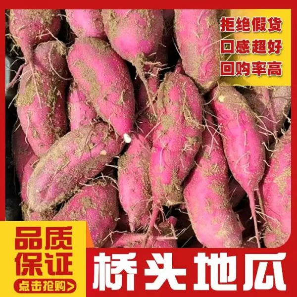 桥头富硒地瓜沙地红薯现挖新鲜板栗薯粉糯香甜9.5斤